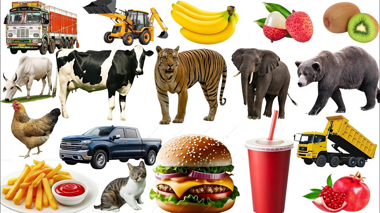 जानवरों और फलों की मज़ेदार दुनिया | Animals & Food Items for Kids Learning