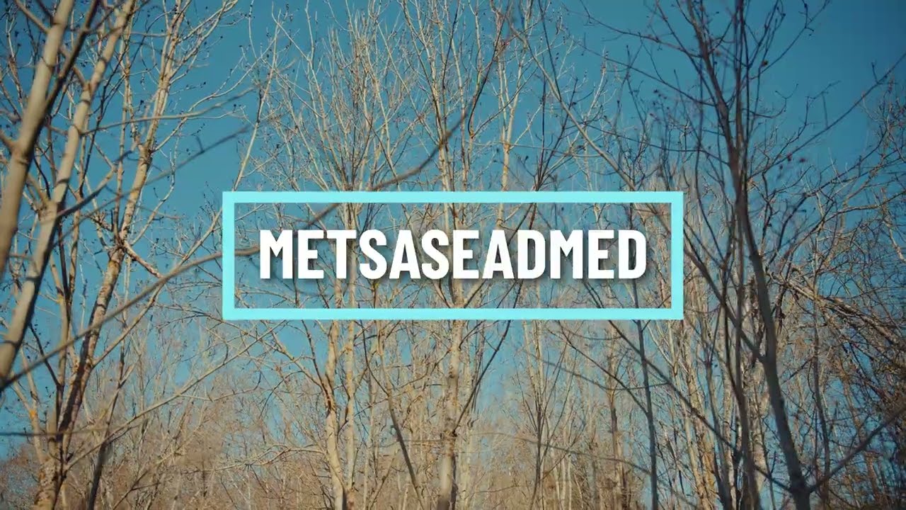 Metsatööde lisaseadmete rent | Fortal