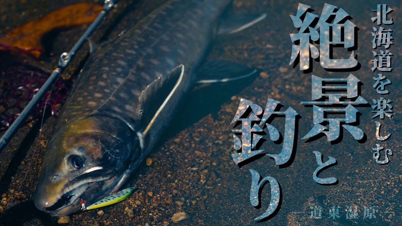 北海道の絶景と釣り　【ファインテール釣記】