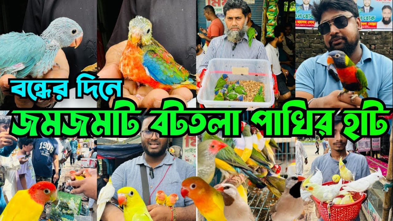 এত্তো পাখি একসাথে আগে দেখেননি বটতলা পাখির হাটে | Bottola Pakhir Hat | Mirpur 13 Pakhir Hat #viral