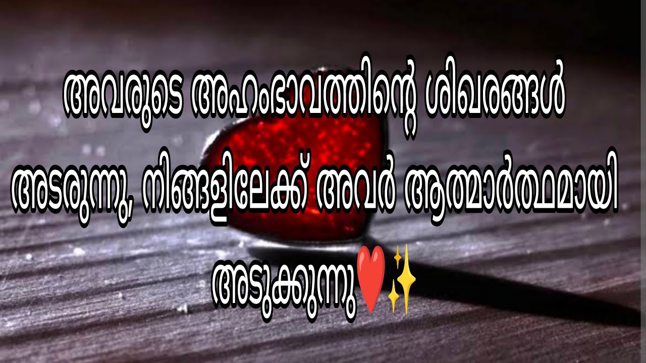 അവരുടെ അഹംഭാവത്തിന്റെ ശിഖരങ്ങൾ അടരുന്നു, നിങ്ങളിലേക്ക് അവർ ആത്മാർത്ഥമായി അടുക്കുന്നു ❤️✨