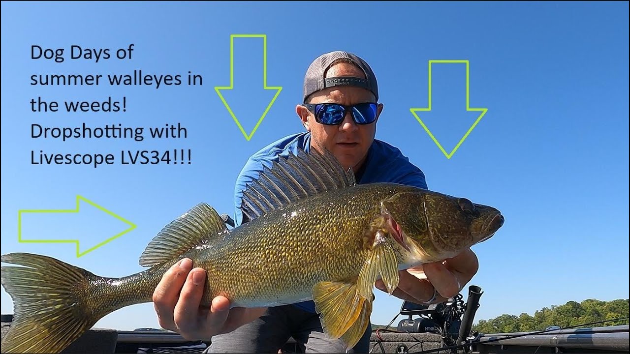 OtterTail county Walleyes in the Dog Days of Summer!
