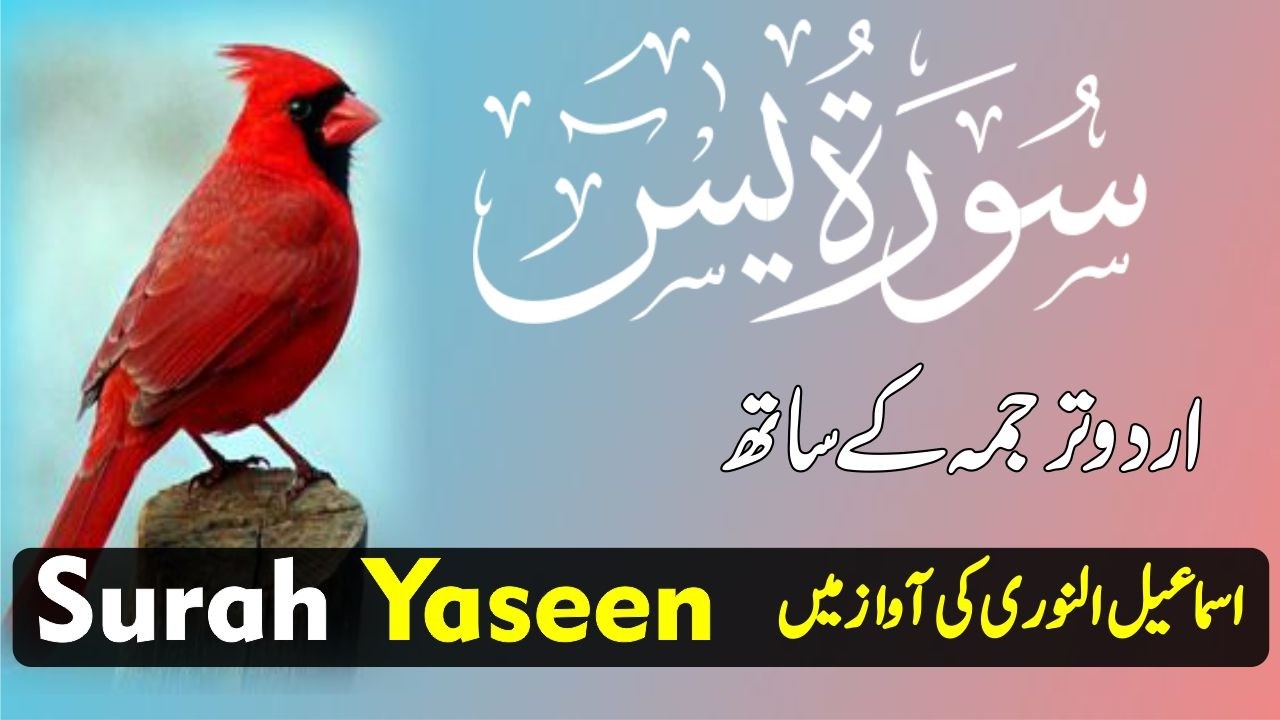 Surah Yasin with Urdu Translation Full | Beautiful Quranic Recitation with Urdu & Hindi Tarjama Ep19