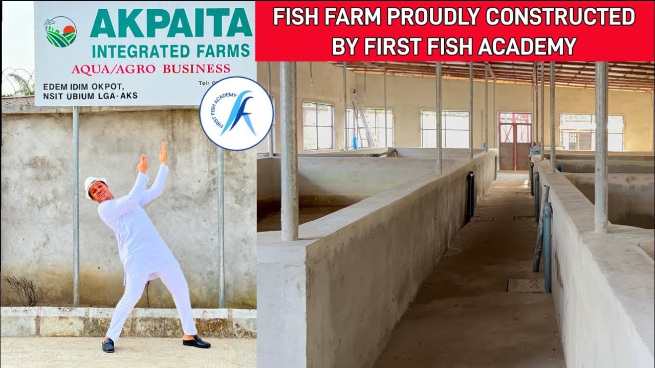 50k capacity Fish Farm with SOLAR WATER PUMP Constructed by FISH ACADEMY in Akwa Ibom state, Nigeria