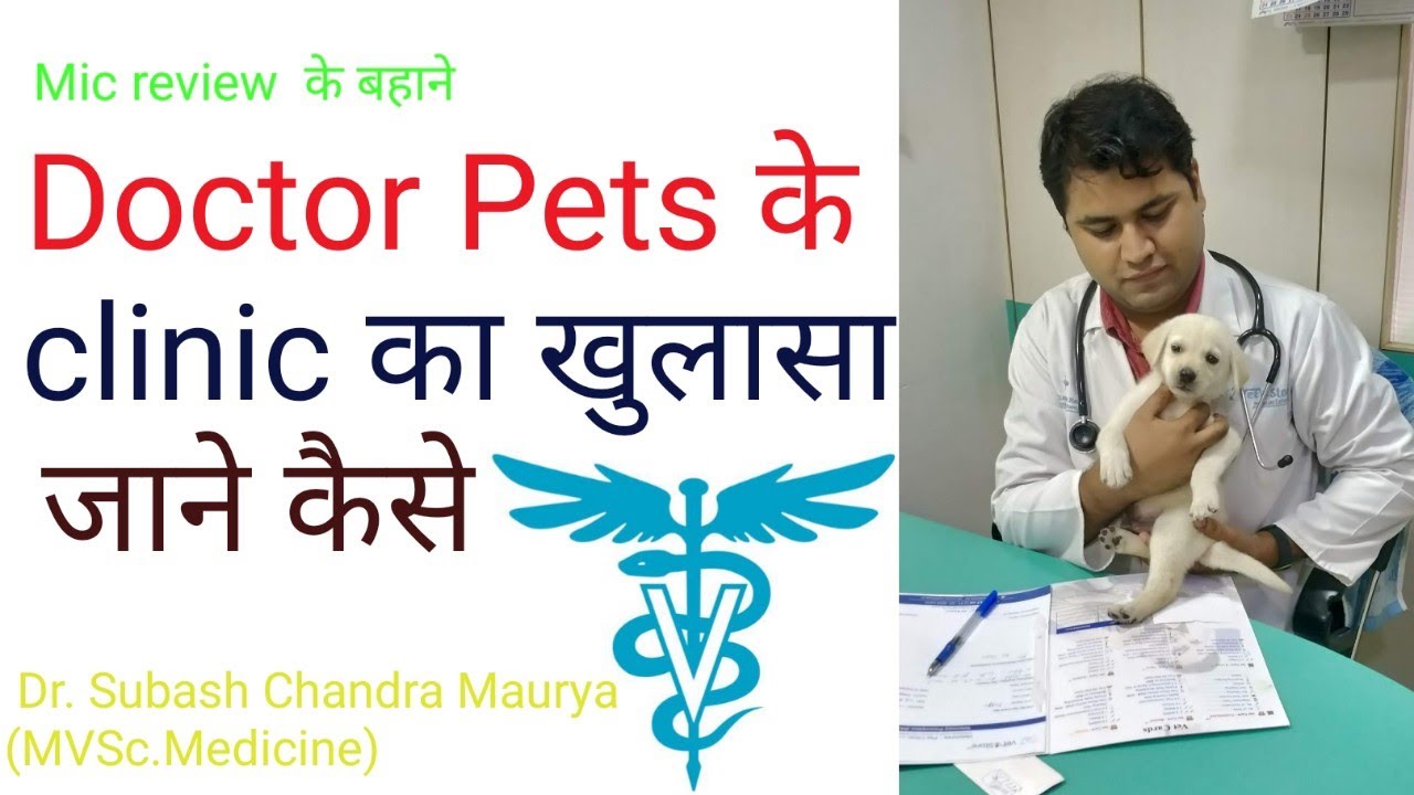Doctor Pet clinic  का खुलासा, जाने कैसे /Hindi/Boya mic🎤 review/Doctor Pets