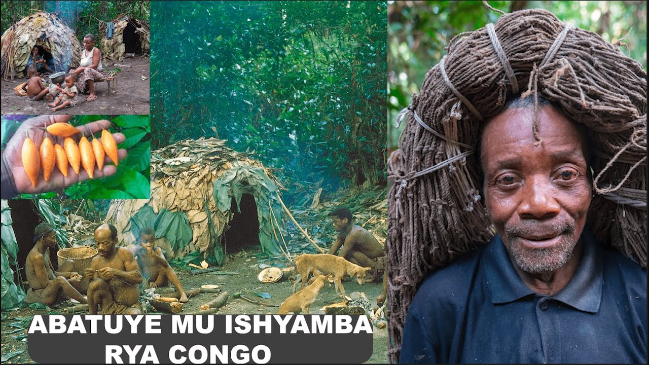 UBUZiMA GAKONDO BUTANGAJE BW'ABATUYE ISHYAMBA rya CONGO, IBITI BiVAMO IMITI IKOMEYE, BYOSE!