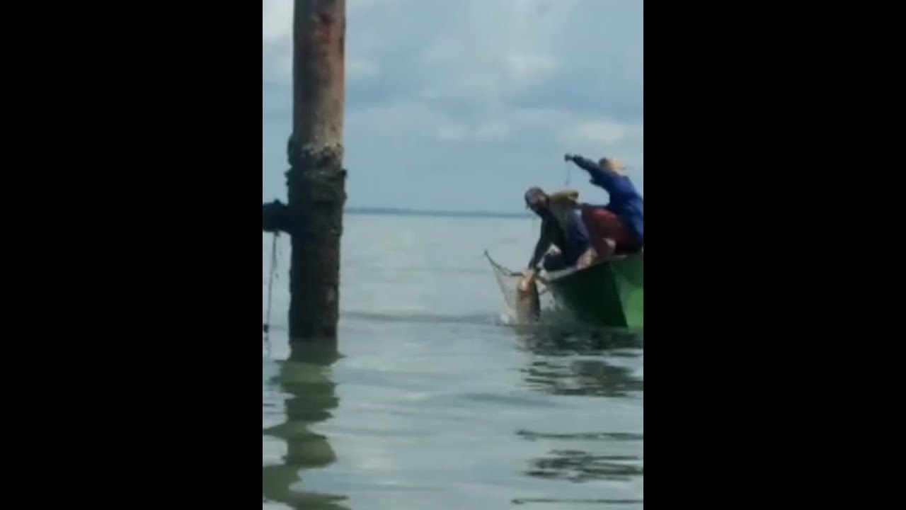 Mancing teknik bento