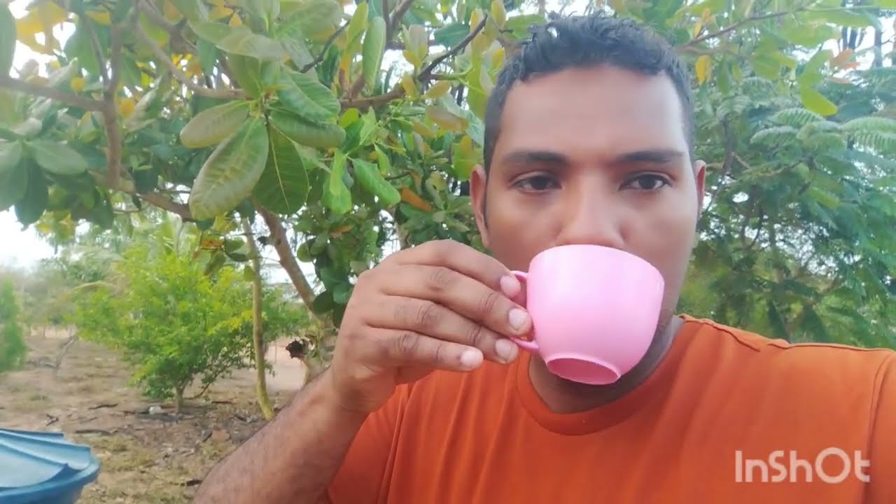 O verão chegou, começamos a limpar o sítio., olha como tá ficando 