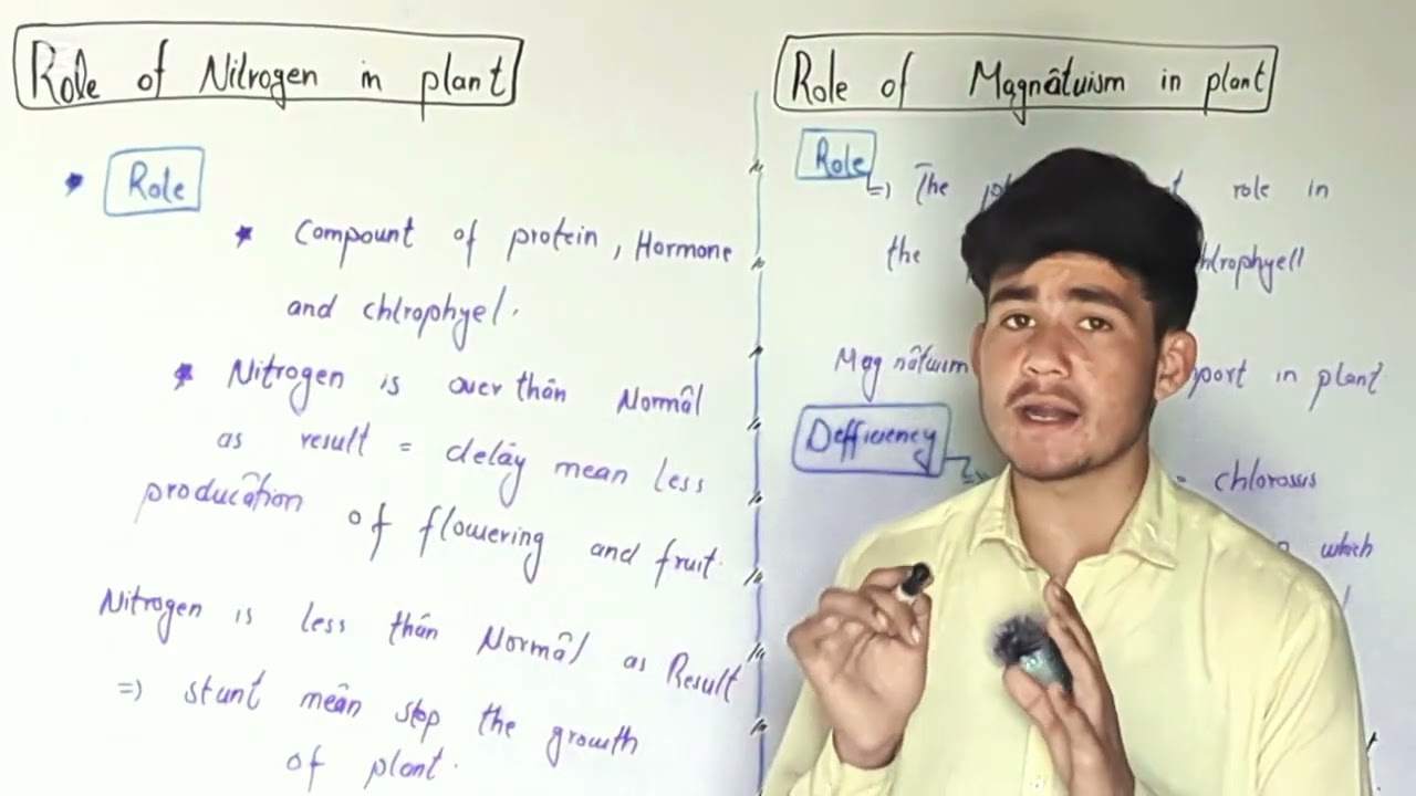 Role of Nitrogen in plants 🌵 and Role of megnasim in plants 🌵