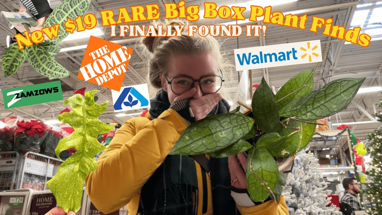 EXCITING New RARE $19 Big Box Plant Finds at Home Depot 🥳 WISHLIST PLANT SHOPPING HAUL OMG!!! 😱🥰