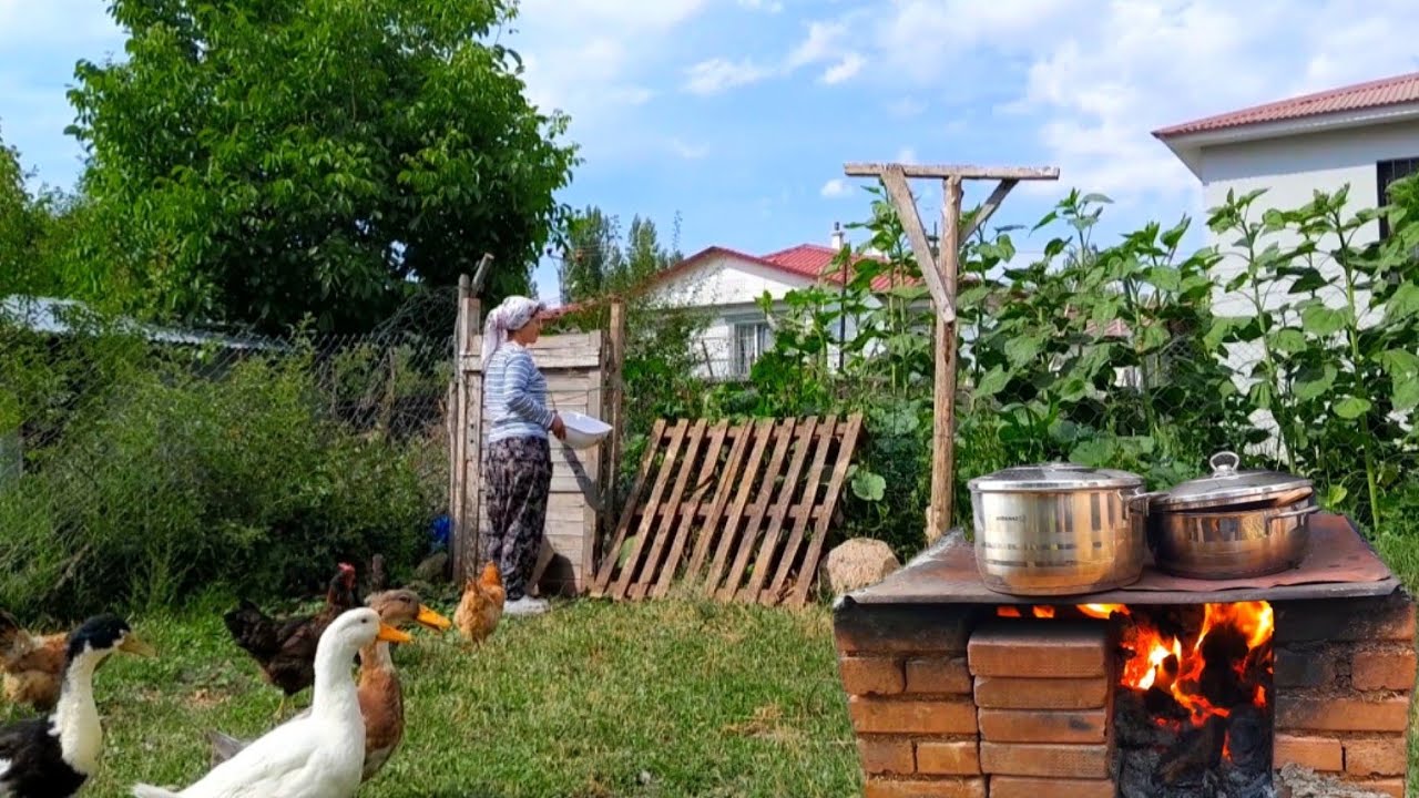 Köyde Akşam Yemeğimiz: Sebzeli Bulgur Pilavı🥘/ Fasulye Topladık🍃Yağmurlu Gün Vlog