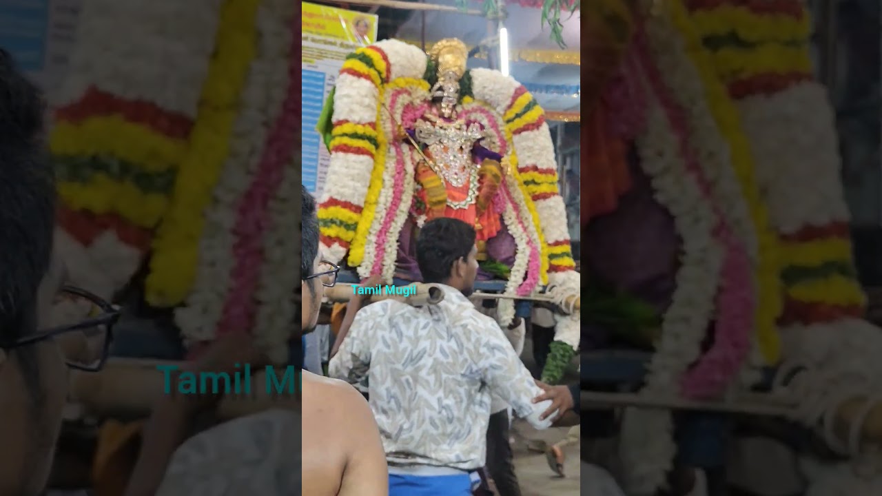 யானை வாகனத்தில் திருவீதி உலா வந்தபின் முத்துமாரி அம்மனின் ஆனந்த நடனம் | பங்குனிப் பொங்கல் திருவிழா |