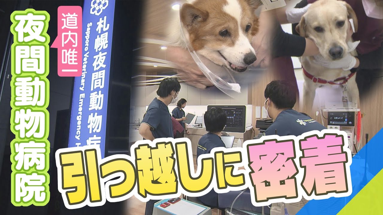 北海道唯一の夜間動物病院　引っ越しに密着　一日も休まず移転できるか？　ペット救急医療　緊迫の24時間