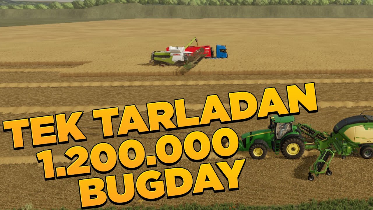 İLK BUGDAY HASATIMIZI YAPTIK | FARMİNG SİMULATOR 2022 | fs 22 bugday hasadı