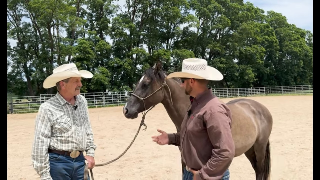 Colt keeps Bucking Owner off!