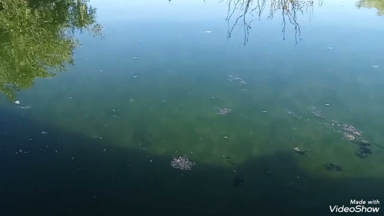 اغتصاب 😭طلاق فقر مايمكنش هدا البنت😱 شنو داز عليها اجمل قصة حب قصة للعبرة 🥹