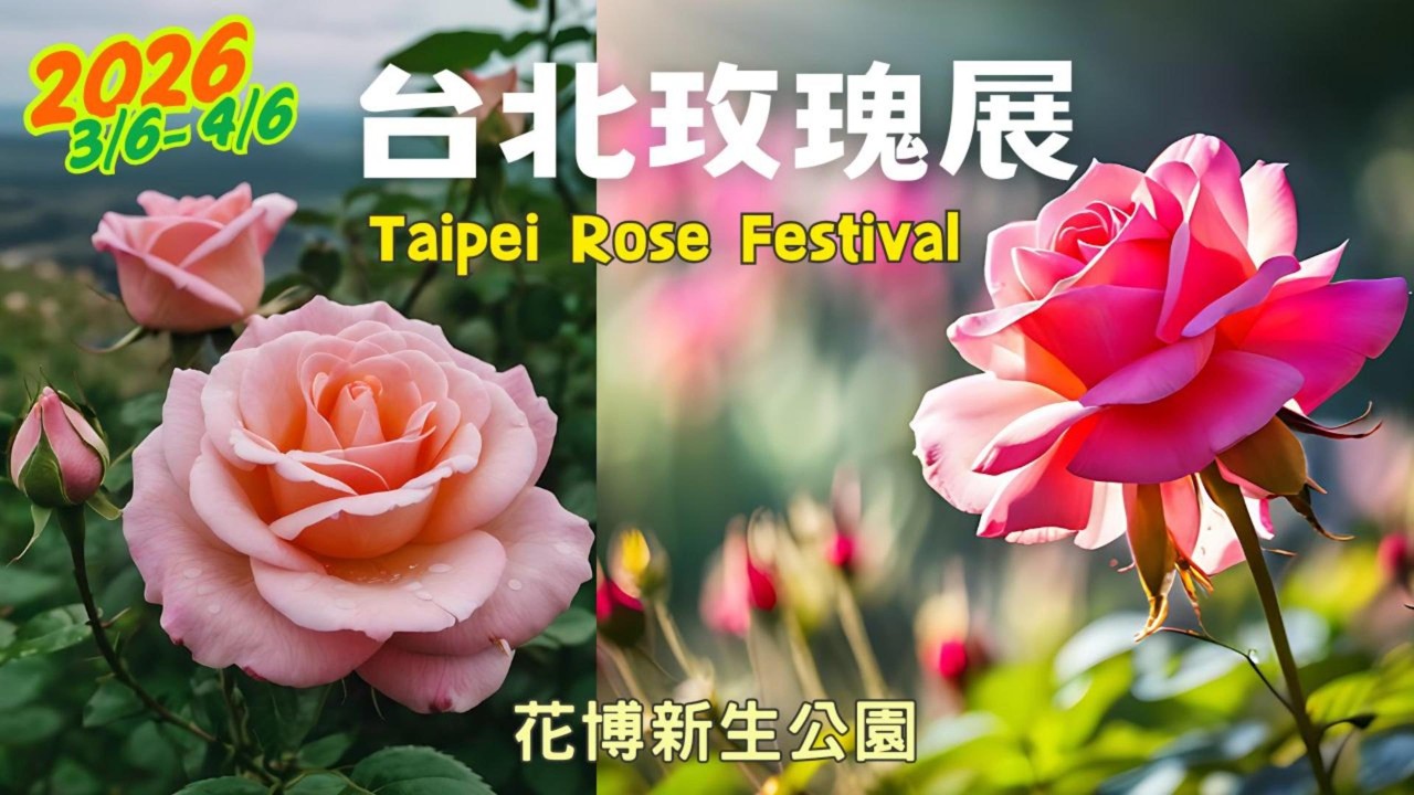 ❣️台北免費賞花 | 台北玫瑰展百花爭豔🌸賞花+衝飛機✈️花博台北玫瑰園 | 也有彩色魯冰花喔🌸2026 Taipei Rose Festival