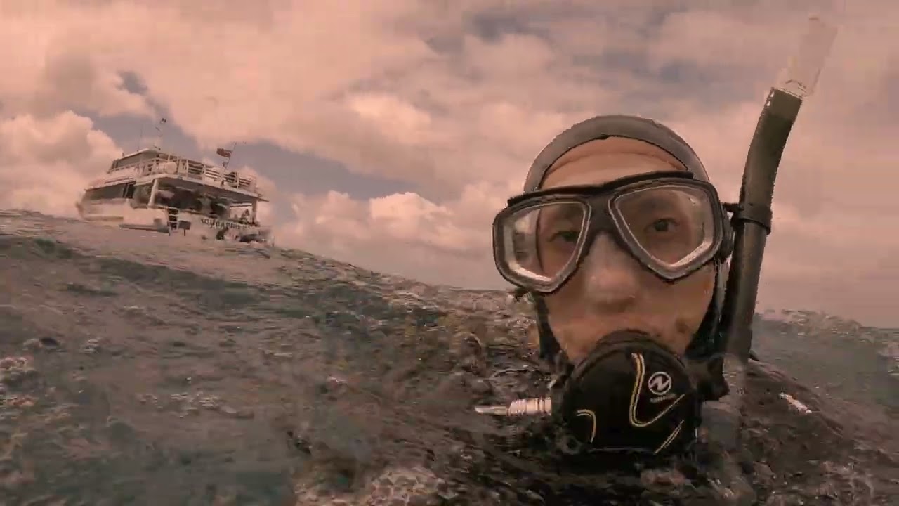 The Adventure of a Lifetime: Diving the Great Barrier Reef Part 1