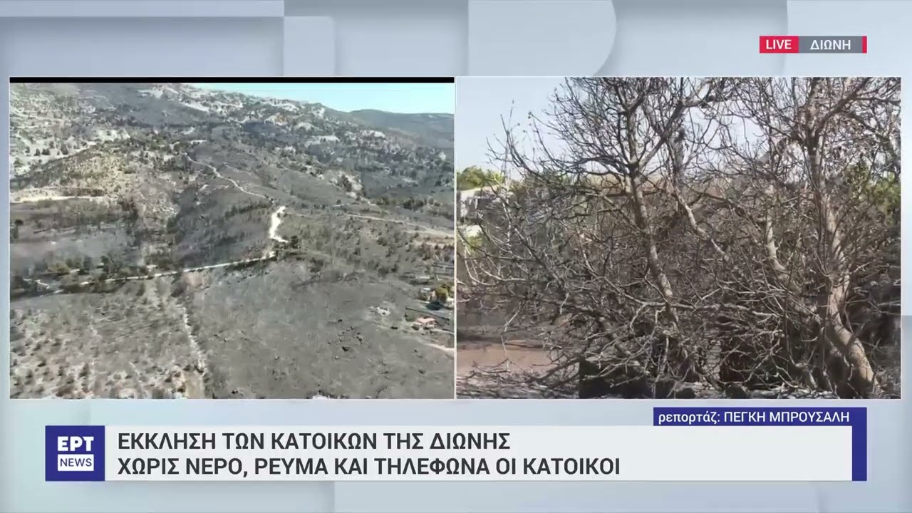 Φωτιά στη ΒΑ Αττική: Διώνη χωρίς ρεύμα και χωρίς νερό | 14/8/2024 | ΕΡΤ