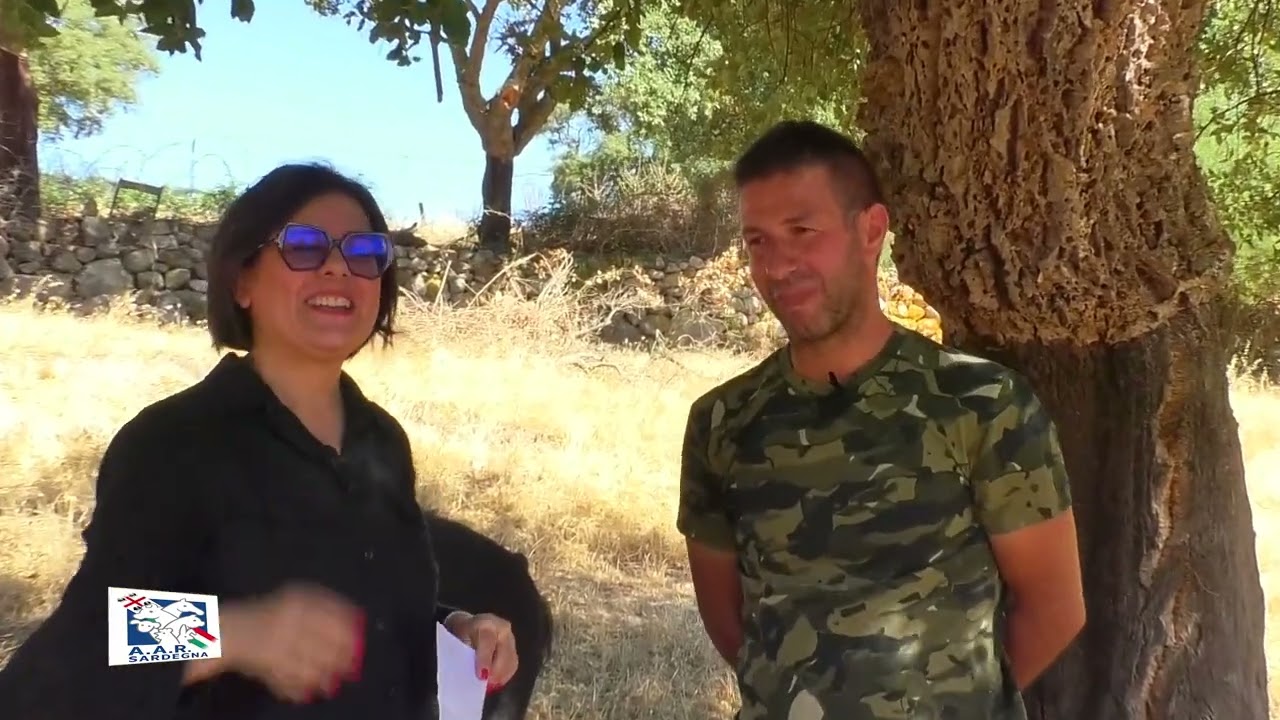 ALLEVATORI DI SARDEGNA Berchidda Suino Razza Sarda