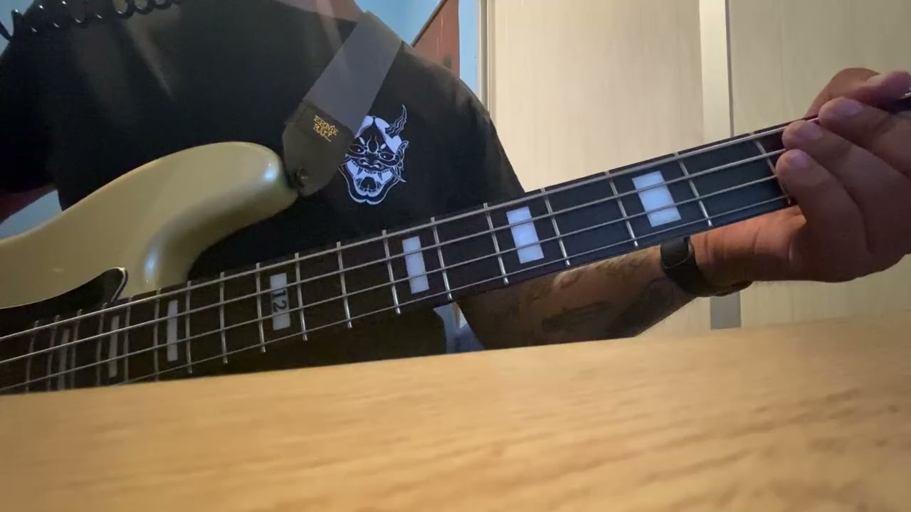 Arctic Monkeys - Fake Tales Of San Francisco Bass Cover