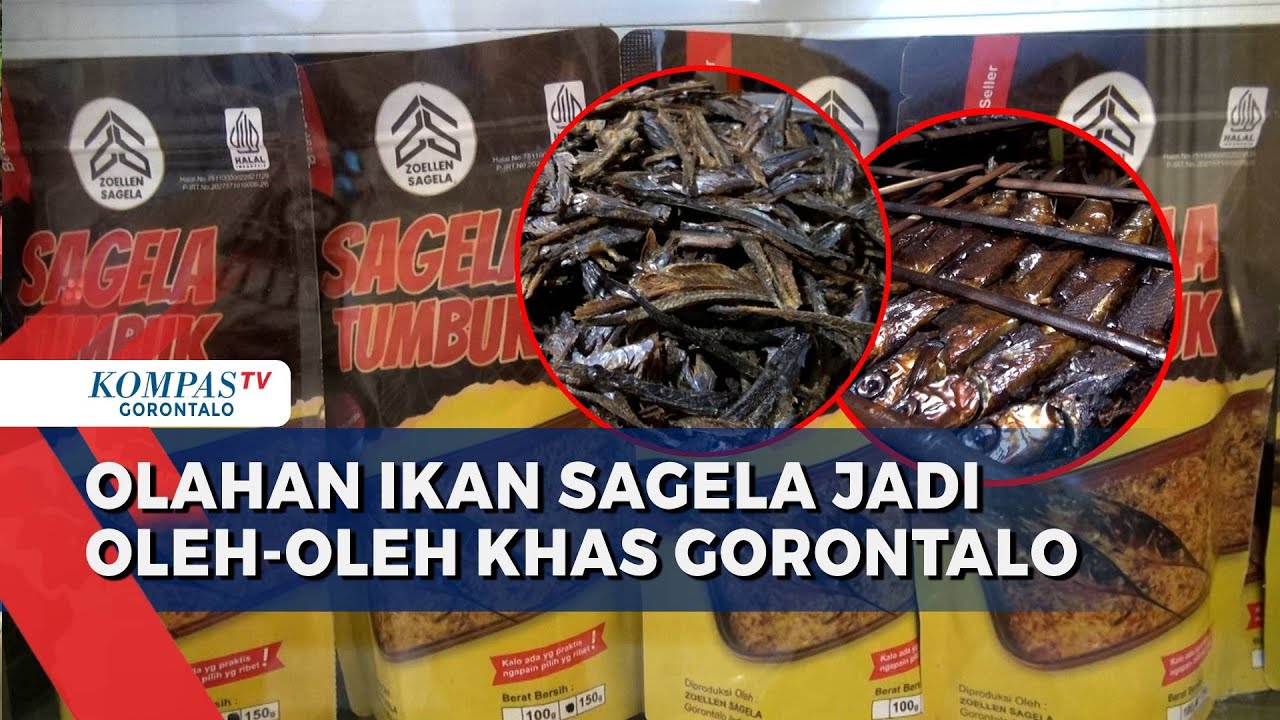 Kisah Pelaku UMKM Sukses Mengolah Ikan Sagela Menjadi Oleh-Oleh Khas Gorontalo