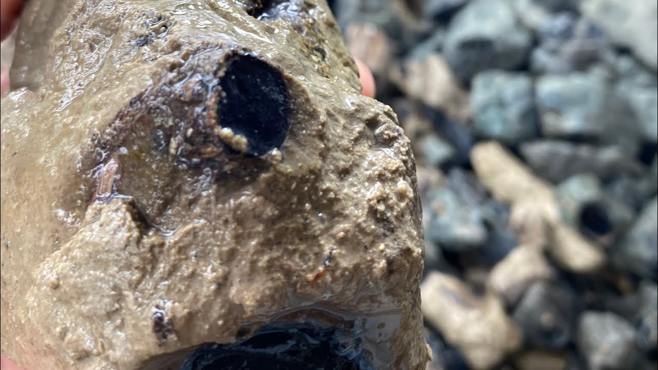Tritmen KALIMAYA Black opal sempur sisit