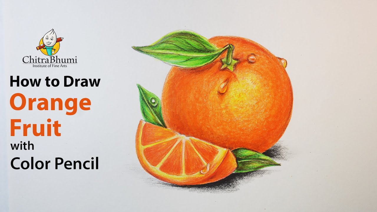 How to Draw Orange Easy Step By Step | Fruit Drawing with Water Drop | Colored Pencil | Tutorials