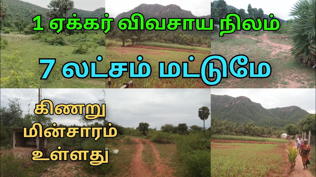 9600525601 திண்டுக்கல் மாவட்டம் கோவிலூர் அருகில் மிக மிக குறைந்த விலையில் விவசாய நிலம் விற்பனைக்கு