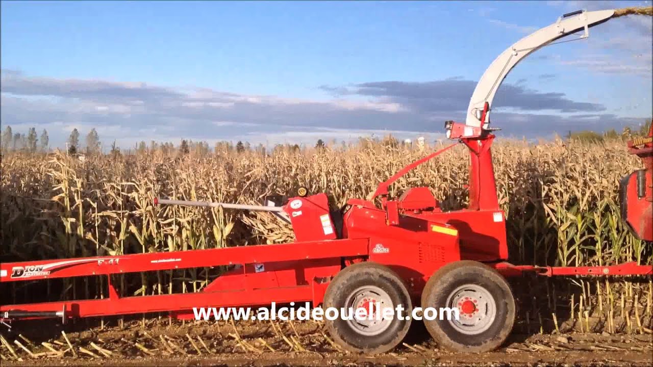 Dion F41 (fourrag&egrave;re train&eacute;)