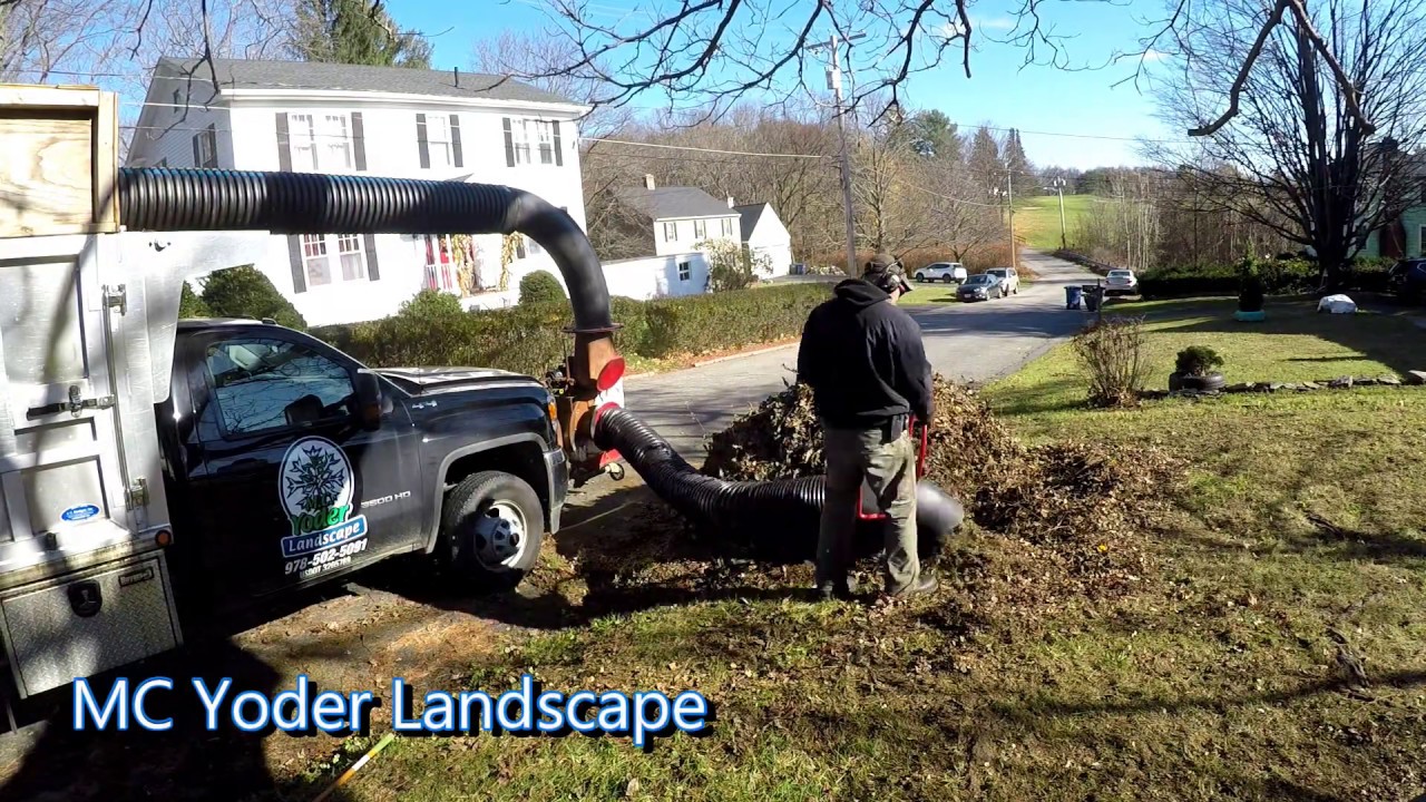 Fall Cleanup video