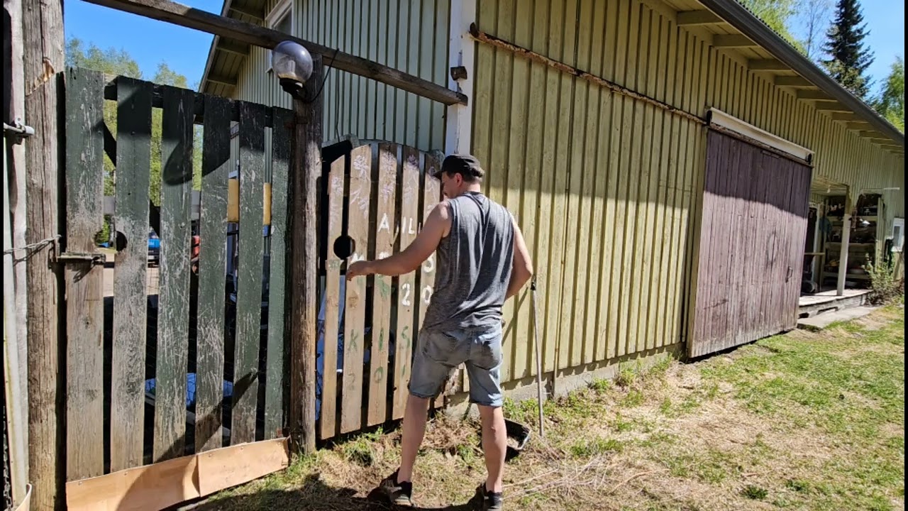 Käki kukkuu ja aitaus valmistuu.