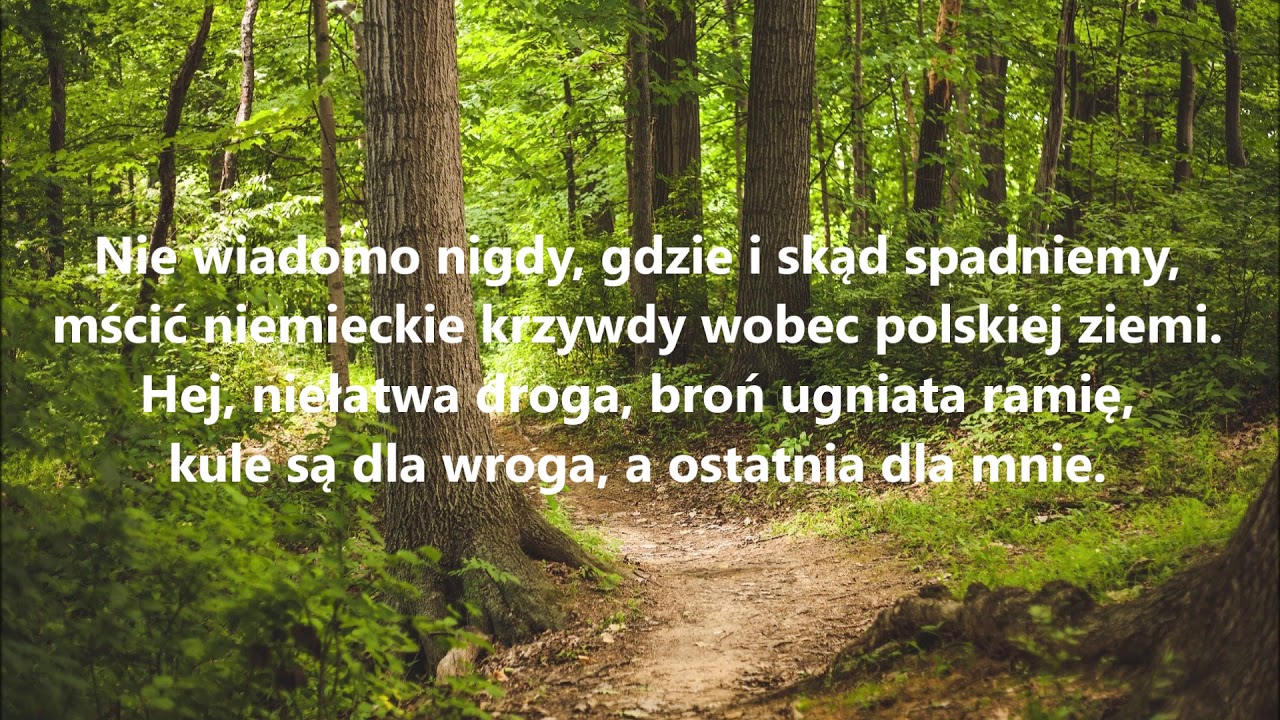 Idą leśni
