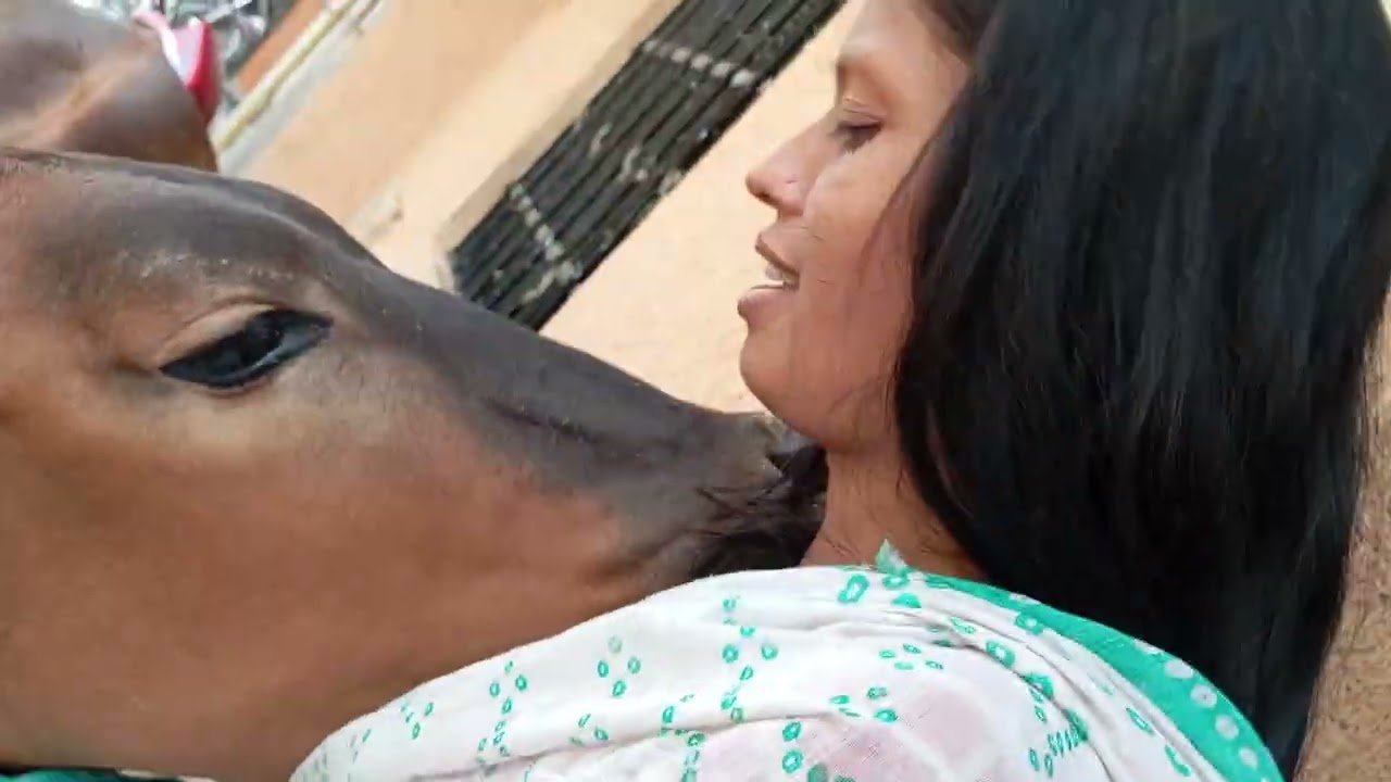 #krishnlover 