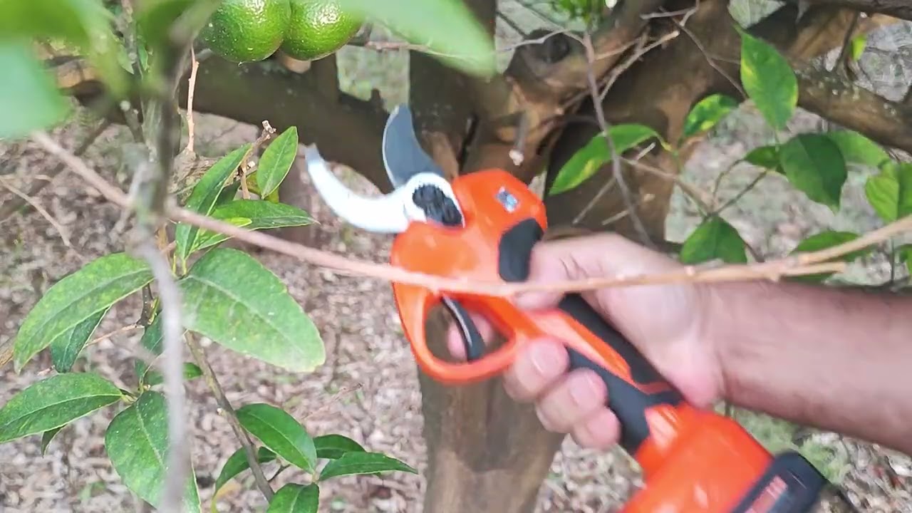 Tijeras de poda a Bateria KST B05540
