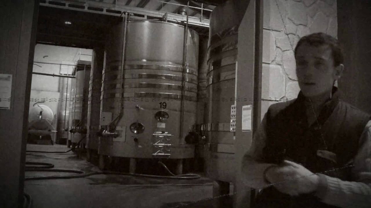 Capítulo 14. Crianza y trasiego de vinos tintos