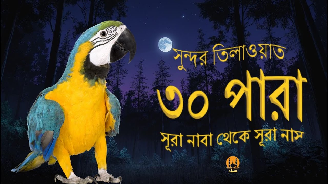 Juz 30 (Juz Amma) Full _ সুন্দর কণ্ঠে সূরা নাবা থেকে সূরা নাস তিলাওয়াত । Alaa Aqel