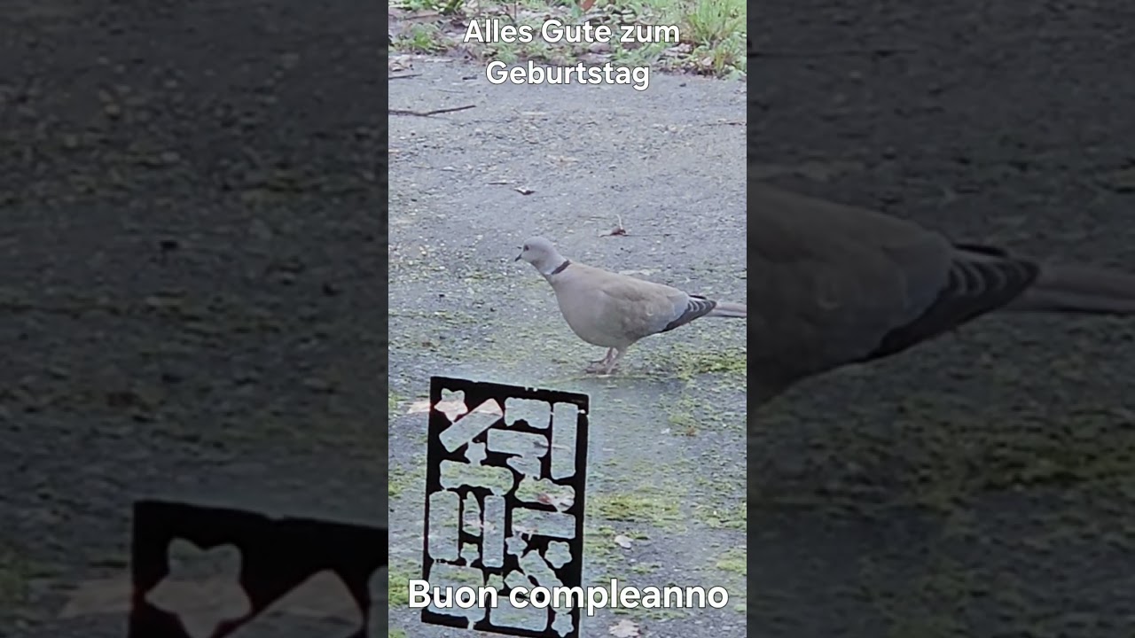 Happy Wednesday, January 14th, 2026 ❤️ 