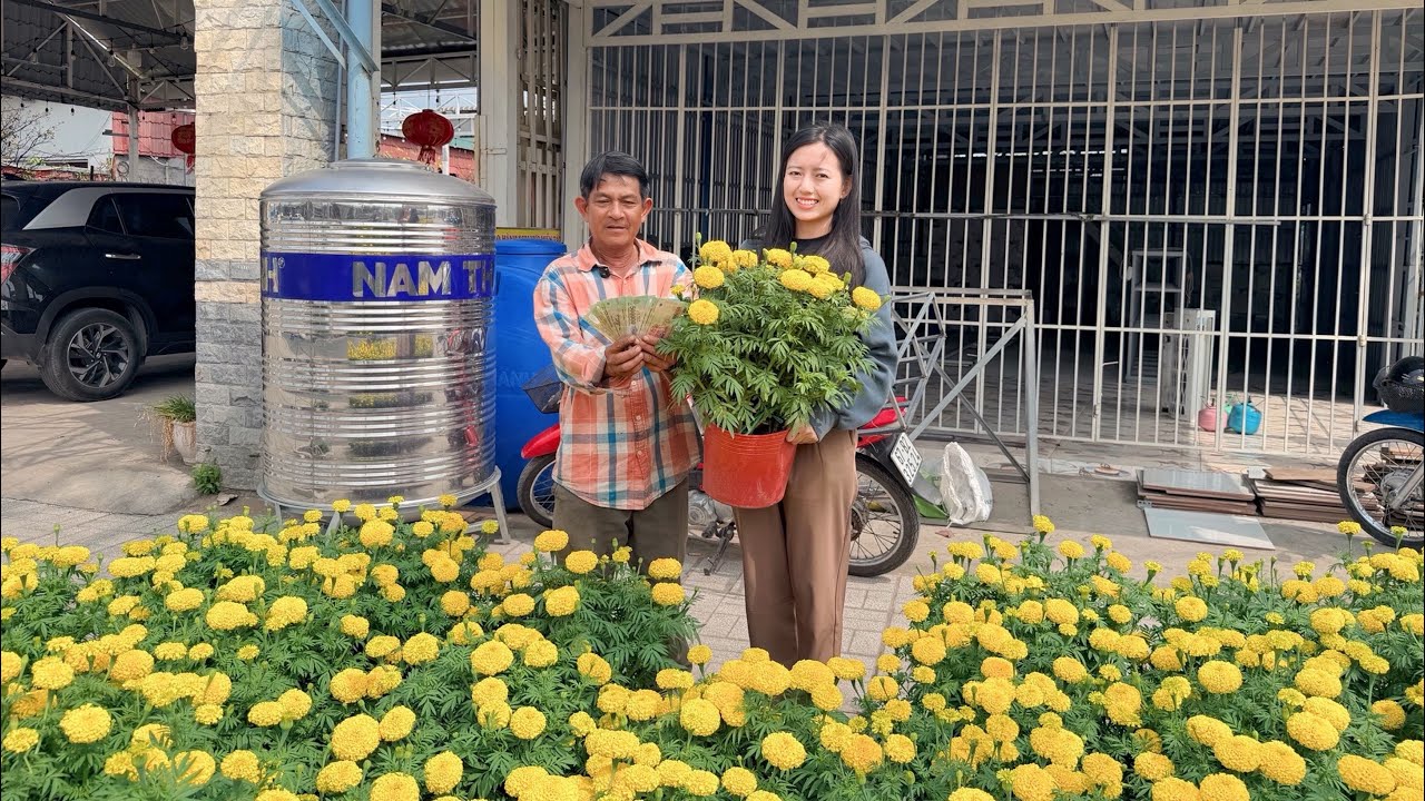 Dượng 7 Xúc Động Khi Được Mạnh Thường Quân Giải Cứu Hơn 100 Chậu Bông Thọ Tặng Lại Cho Bà Con #825