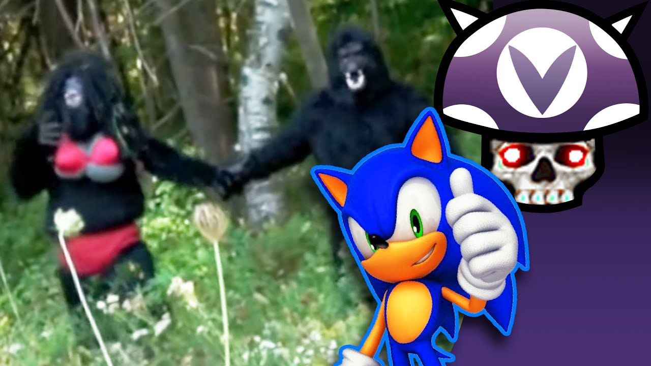 [Vinesauce] Joel - Sonic And The Snatchsquatch