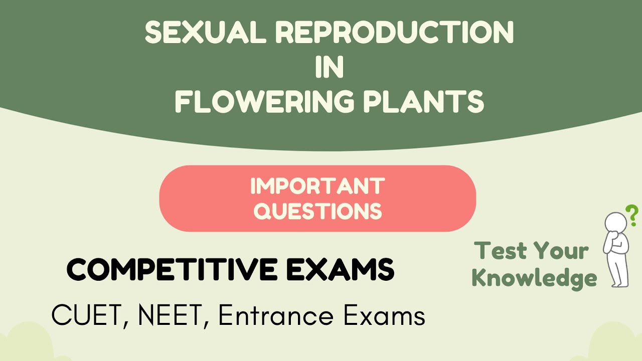 Sexual Reproduction in Flowering Plants #neet #cuet #biology #quiz #skill