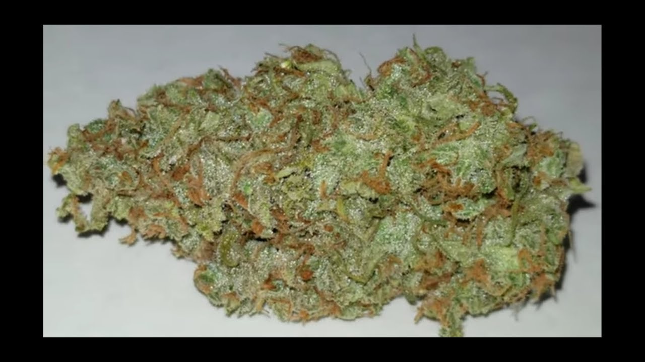 Viparspectra V600 grow test: Quality results