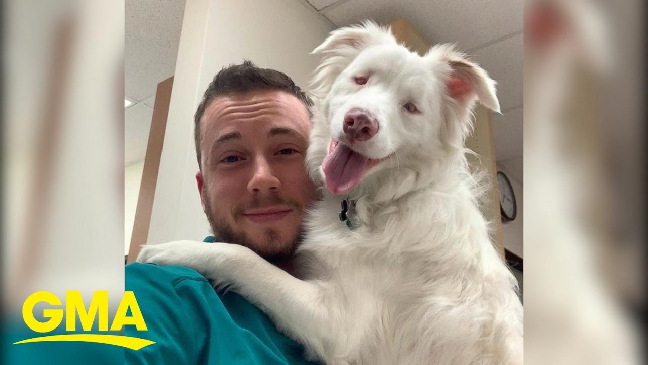 Blind and deaf dog is so loved by transgender dad, ‘I kind of see herself in me’ l GMA Digital