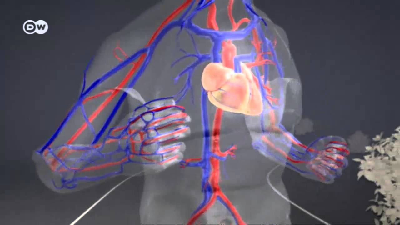 LO QUE PASA CUANDO CORRES