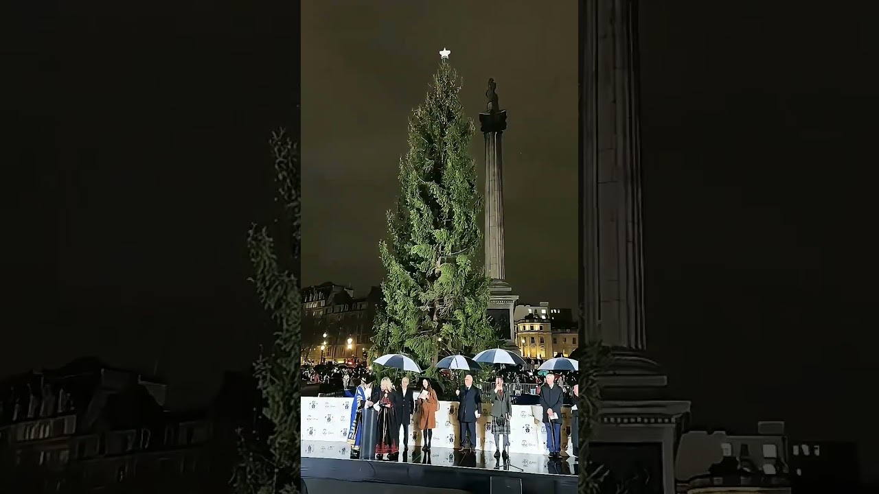 &aacute;rvore de natal sem gra&ccedil;a #natal #arvore #arvoredenatal #londres #inglaterra