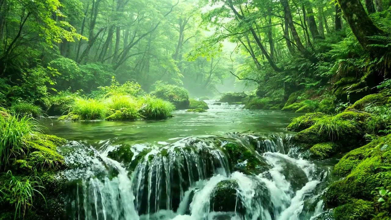Sound of a Peaceful River, Gentle Chirping Birds, Calm Nature Sounds of Flowing Water