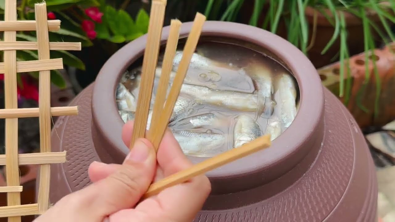 Lu nước mắm cá linh đã trộn muối được 128 giờ tại Sài Gòn, nước bổi màu rất đậm.