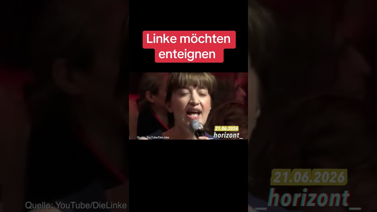 Linke m&ouml;chten enteignen ‼️🚨 #afd #cdu #nachrichten #bundestag #politik #spd #aktuell