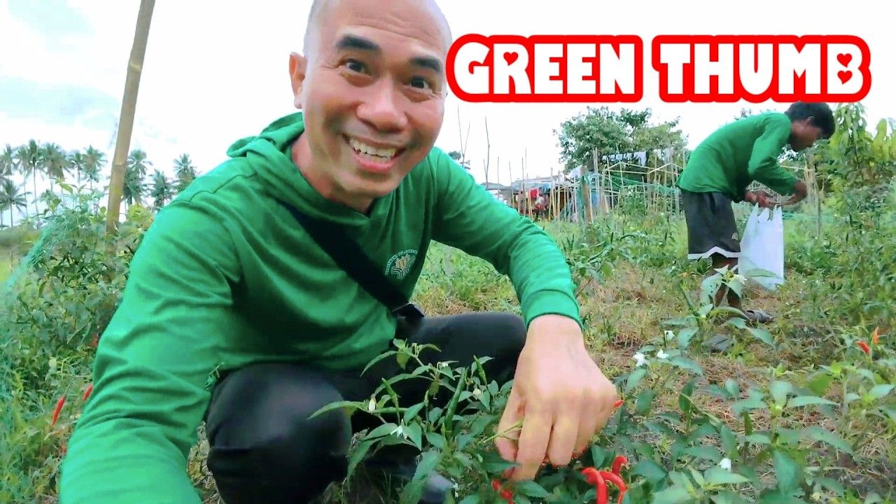 Harvest Time na... | Buhay ang mga Tanim ni Ka Inags sa Mik Organik Farm, Calapan, Oriental Mindoro