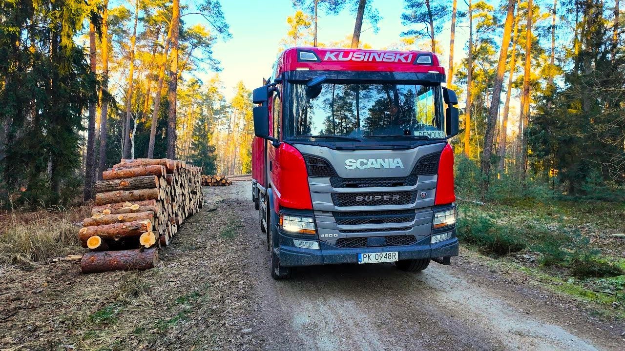 Śladem natury: Scania Off-Road adventure w pełnej klasie lesnych szlaków  #PoDrewno 02